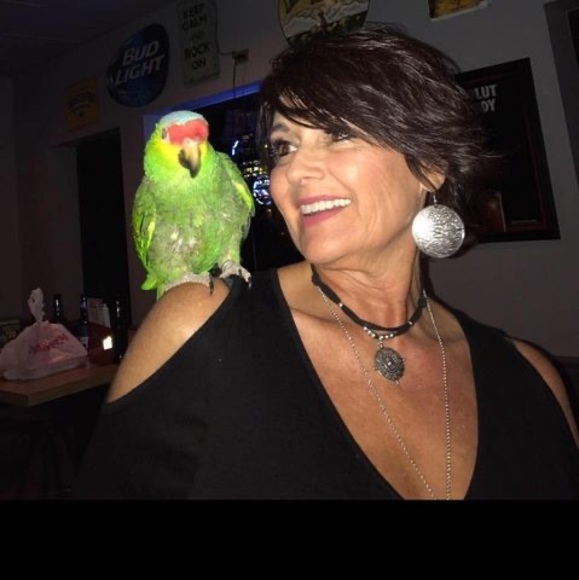 Meet your Posher, Debra - Picture 1 of 1